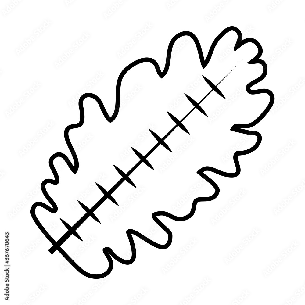 tropical oak leaf line style icon vector design tropical oak leaf line style icon vector design