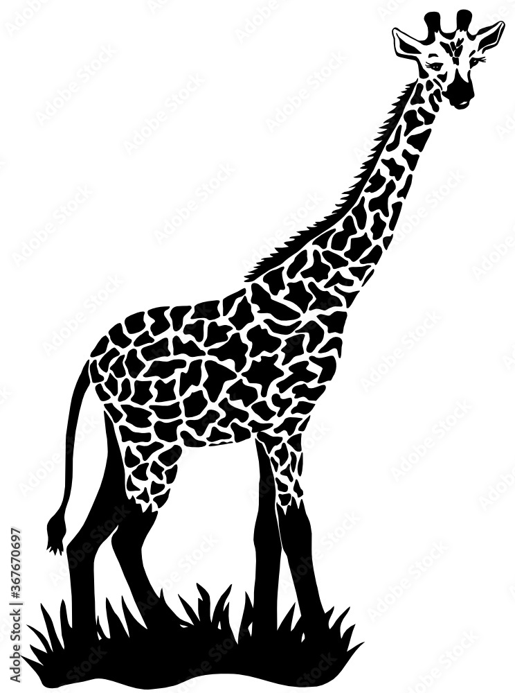 Obraz premium giraffte cartoon vector