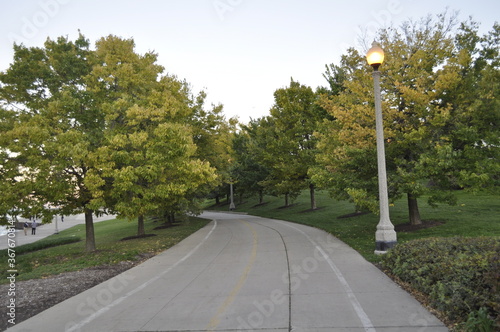 road in the park