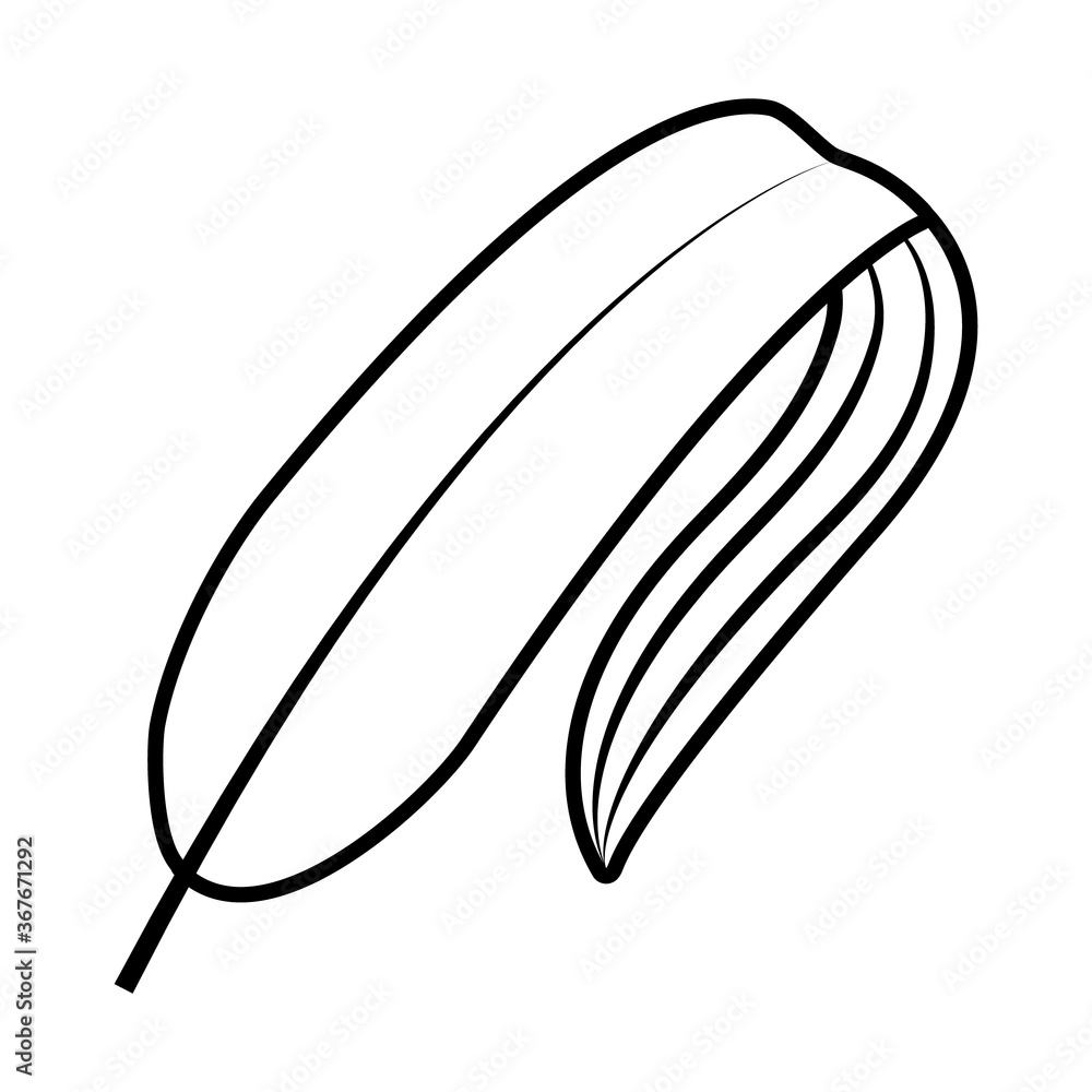 tropical linear leaf line style icon vector design tropical linear leaf line style icon vector design
