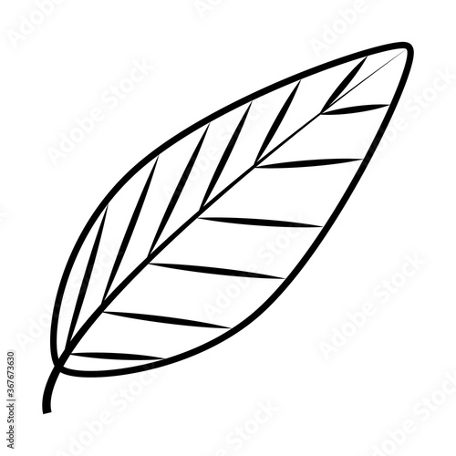 tropical leaf line style icon vector design