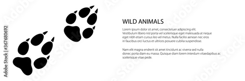 Banner of trace of forest animal, the trace of a predatory animal wolf, vector illustration