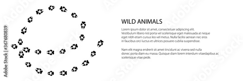 Banner of trace of forest animal, the trace of a predatory animal wolf, vector illustration