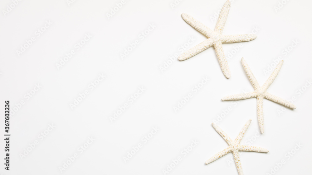 White starfish on white background. summer marine decoration. flat lay, top view, copy space White starfish on white background. summer marine decoration. flat lay, top view, copy space