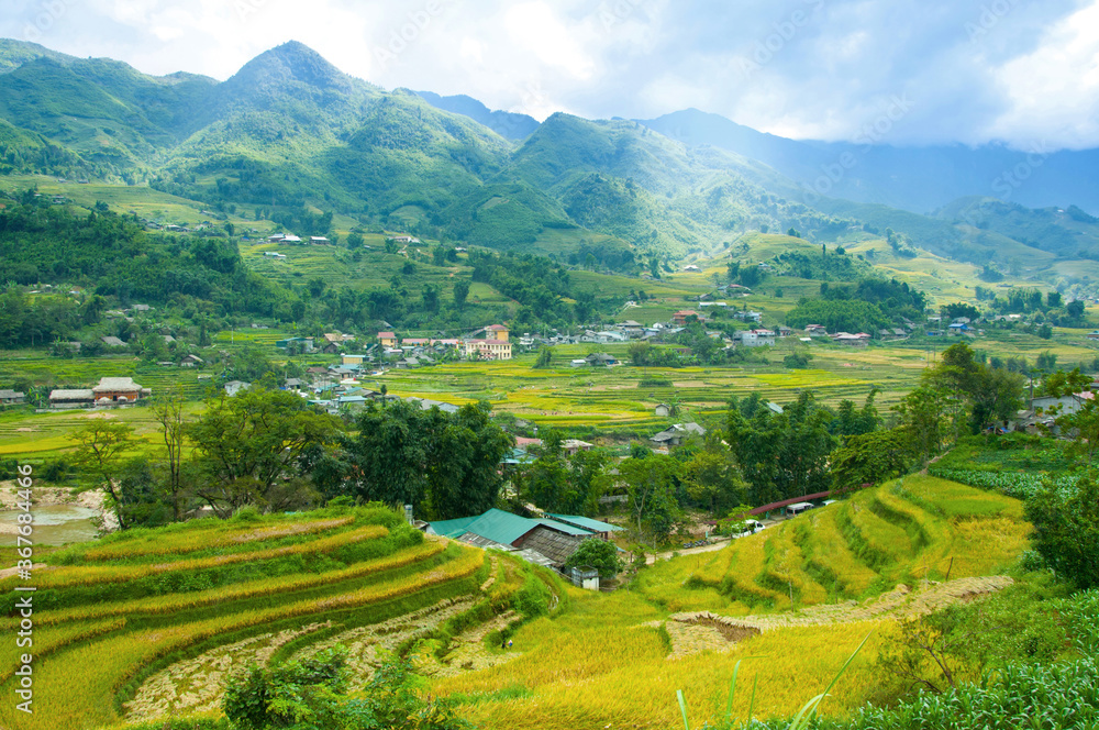 Fototapeta premium Scenic landscape of rice terraces in rural Northern Vietnam near Sapa town, view of the beautiful Muong Hoa valley with the green and yellow agricultural fields in the mountains, during harvest time