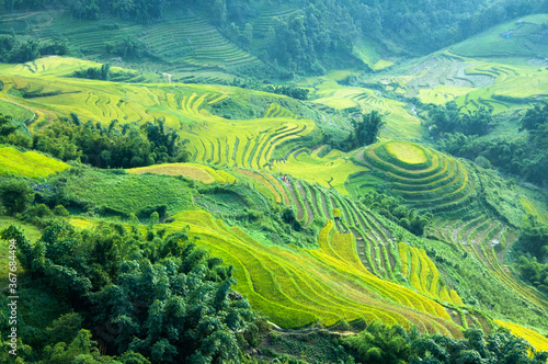Scenic landscape of rice terraces in rural Northern Vietnam near Sapa town, view of the beautiful Muong Hoa valley with the green and yellow agricultural fields in the mountains, during harvest time