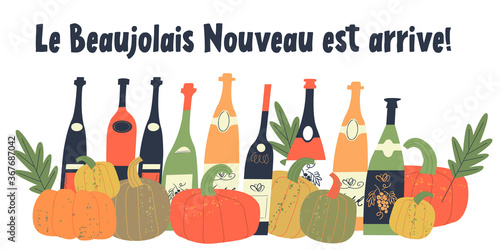 Beaujolais Nouveau has arrived the inscription in French. Vector illustration with bottles of young wine, bright orange pumpkins and autumn leaves.