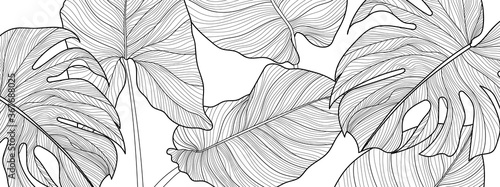 Black and white Decorative tropical leaf  background pattern, Split-leaf Philodendron plant with monstera plant line arts for printing, postcard, packaging and cover. Vector illustration.