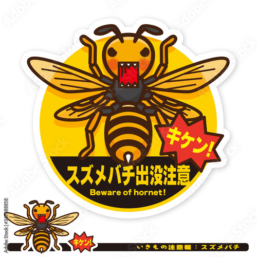 いきもの注意報：スズメバチ出没注意サイン