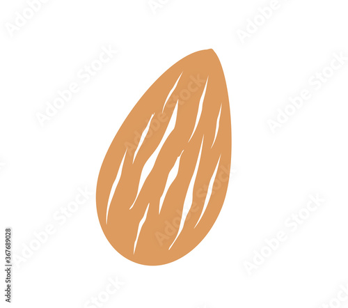 Almond vector illustration. Almond icon. 