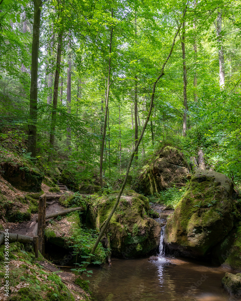 Little waterfall in the Elbsandsteingebirge