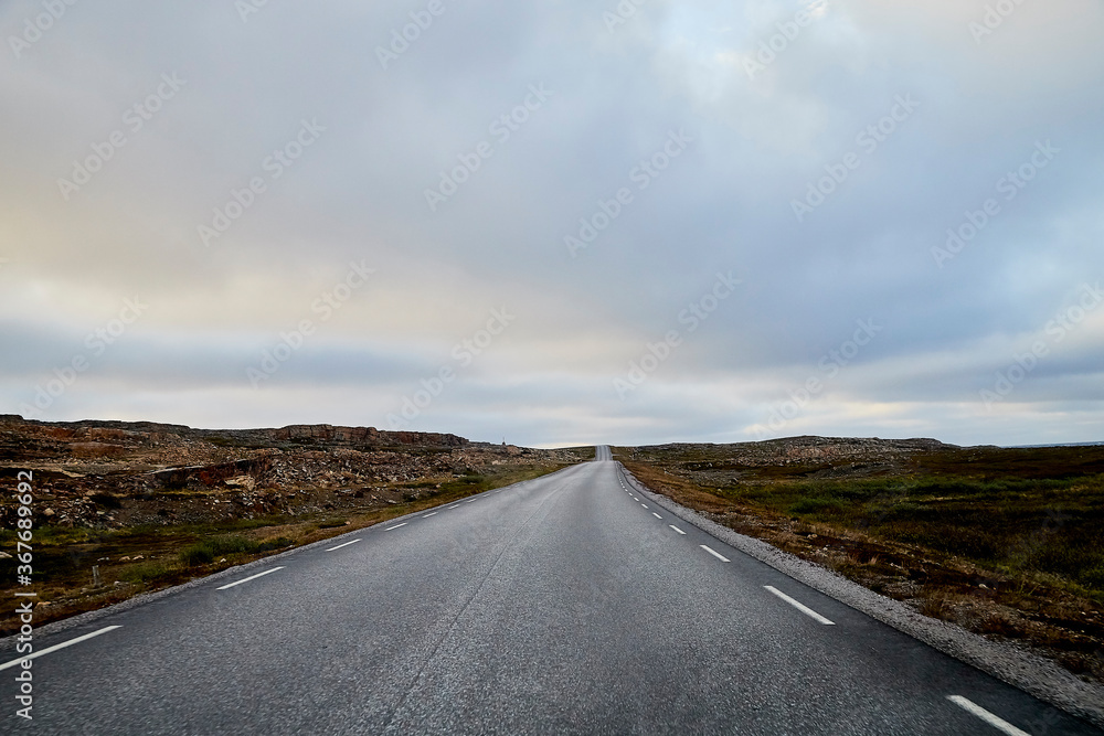 Fototapeta premium Landscape with road in tundra in Norway at cloudy evening