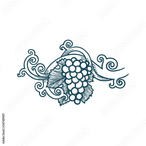 Grape bunch, vine and leafs. Grapevine vintage style hand drawn vector illustration. Part of set.