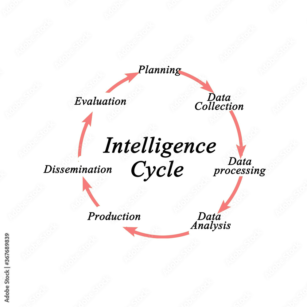 Intelligence Cycle: From planning to dissemination Intelligence Cycle: From planning to dissemination
