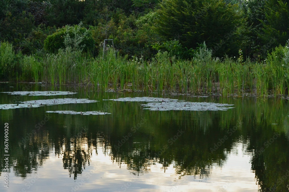 reflection in water