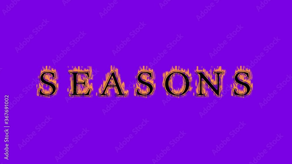 seasons fire text effect violet background. animated text effect with high visual impact. letter and text effect. Alpha Matte. seasons fire text effect violet background. animated text effect with high visual impact. letter and text effect. Alpha Matte.