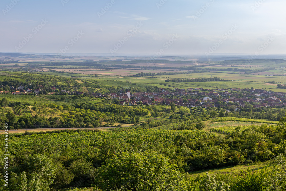 Vineyard landscape with hills and small village Perna, Palava Czech republic