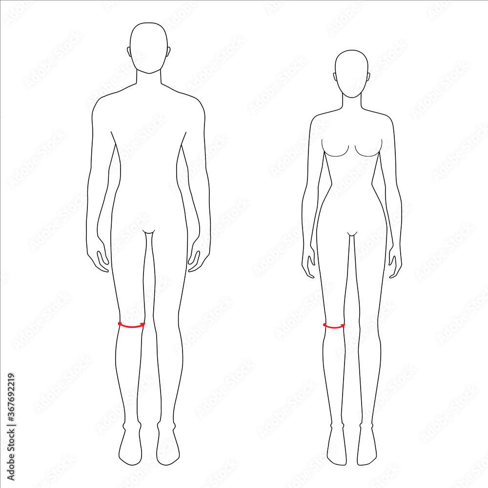 Women and men to do knee measurement fashion Illustration for size chart. 7.5 head size girl and boy for site or online shop. Human body infographic template for clothes. Women and men to do knee measurement fashion Illustration for size chart. 7.5 head size girl and boy for site or online shop. Human body infographic template for clothes.