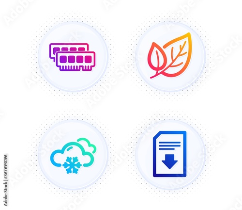Leaf, Snow weather and Ram icons simple set. Button with halftone dots. Download file sign. Ecology, Snowflake, Random-access memory. Load document. Business set. Gradient flat leaf icon. Vector