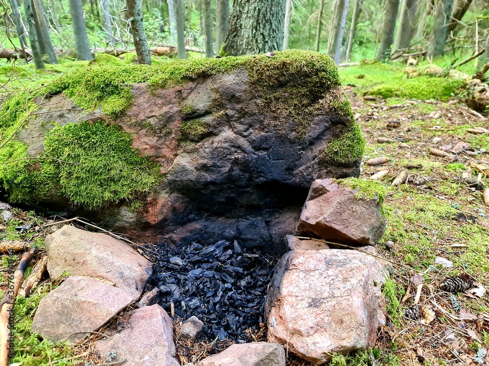 Fototapeta premium moss on rocks