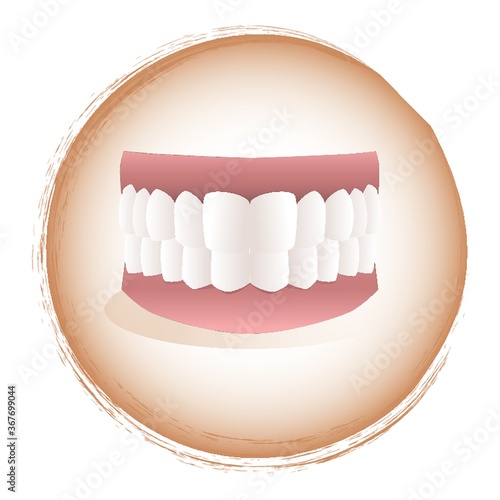 teeth