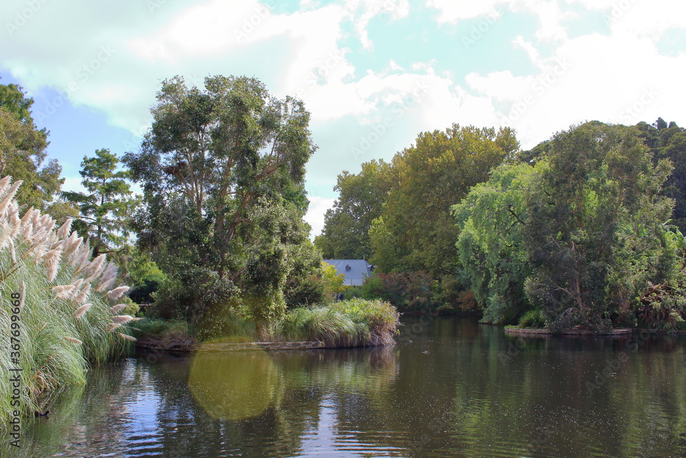 Fototapeta premium lake in adelaide botanic garden