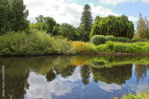 lake in the adelaide botanic garden