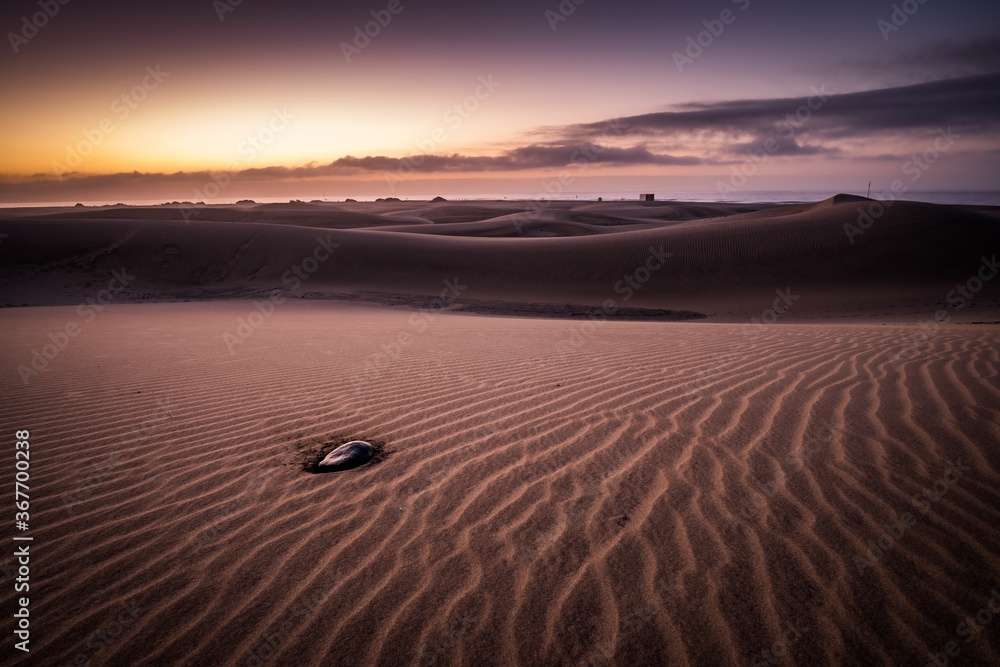 Fototapeta premium Spectacular Sunrise Sandy dunes in famous natural Maspalomas beach. Gran Canaria. Spain