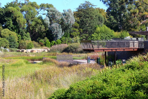 adelaide botanic garden