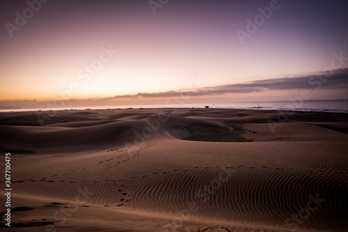 Spectacular Sunrise Sandy dunes in famous natural Maspalomas beach. Gran Canaria. Spain