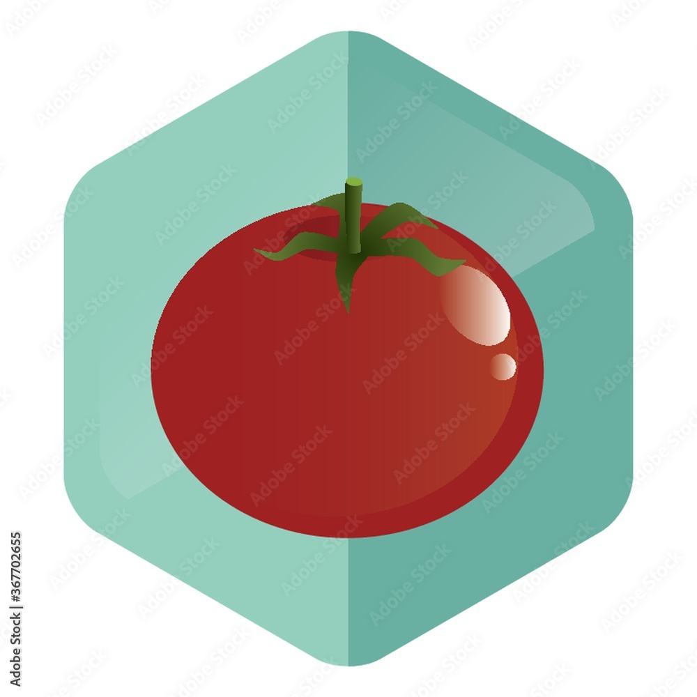 tomato tomato