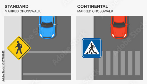 Road markings meaning. Standard and continental marked crosswalk. Traffic sign rule. Flat vector illustration template.