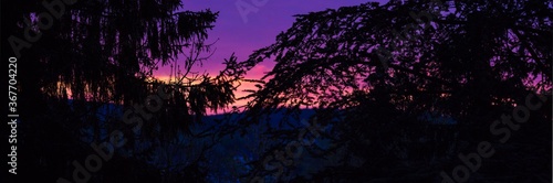 Sonnenuntergangspanorama hinter Bäumen