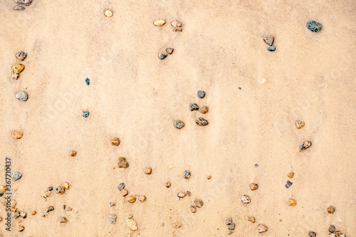 Fototapeta Naklejka Na Ścianę i Meble -  Sandy beach on the Baltic sea. Gulf of Finland. Summer. Rocks and mussel shells.