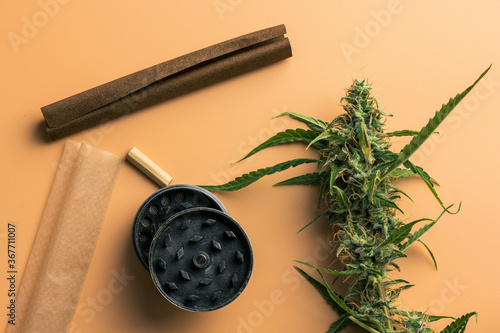 Quadro em tela Close-up of marijuana plant and smoking accessories