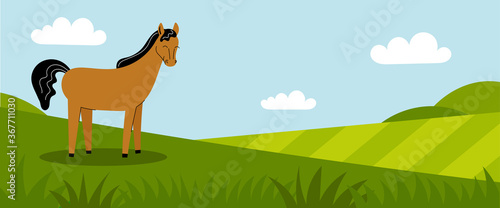 A cute brown horse stands on a green meadow. Farm animals. Summer panorama with a field. Place for your text. Flat cartoon color illustration