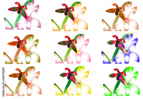 Графика и иллюстрации