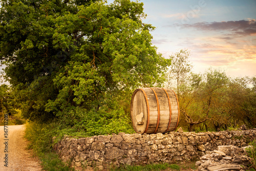 Chianti region, wine barrel over a stone wall, on the vineyard road. Radda in Chianti, Tuscany, Italy