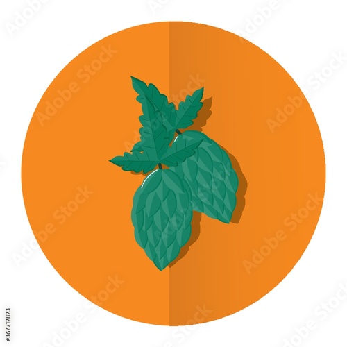 green hops