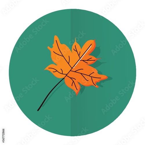 maple leaf
