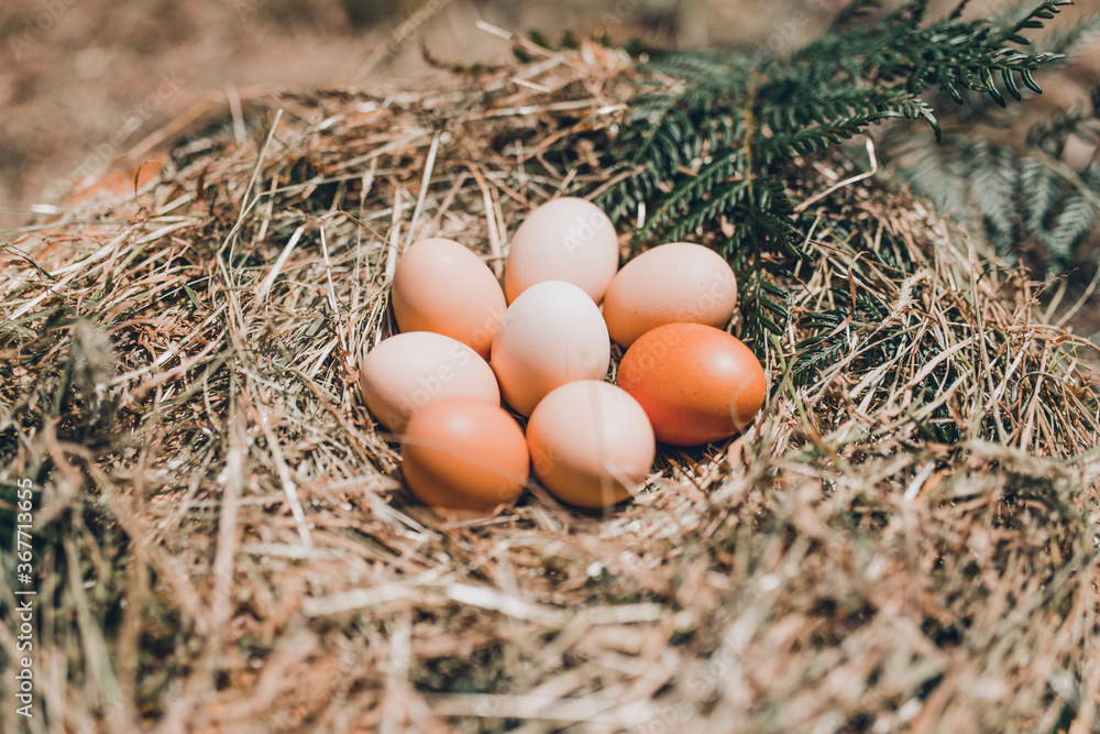 Still life picture of eggs in a rustic background Still life picture of eggs in a rustic background
