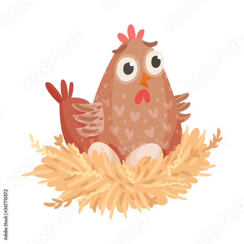 Hen Sitting on Eggs Isolated on White Background Vector Illustration