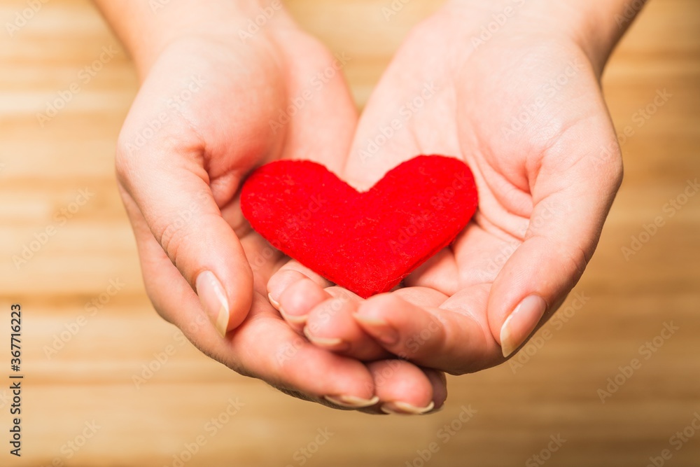 Fototapeta premium Hands Holding a Heart
