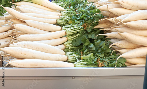 Farmer harvest and prepare Radish for transport to market.