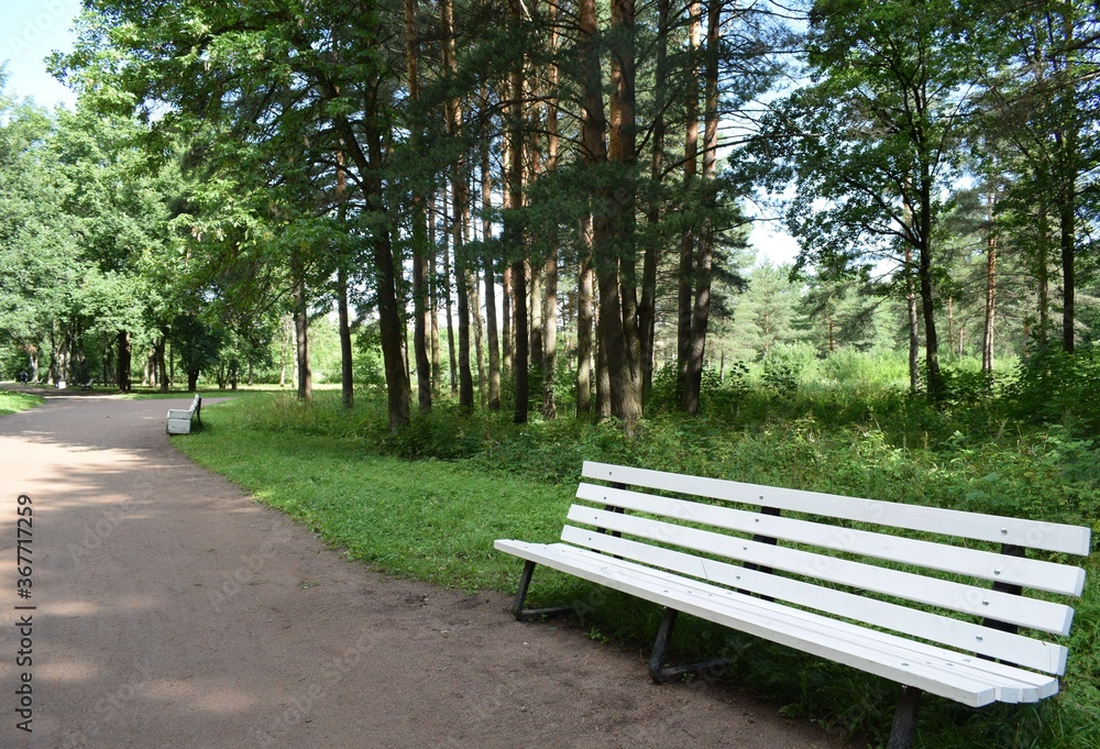 bench in the park