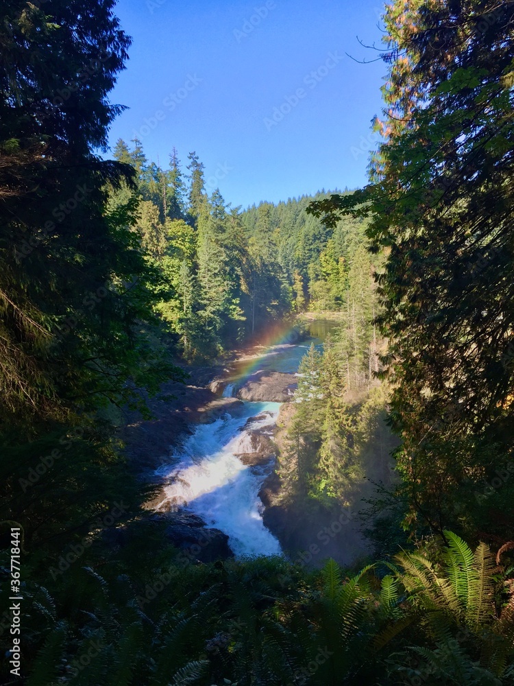 Obraz premium Rainbow forest waterfall Canada