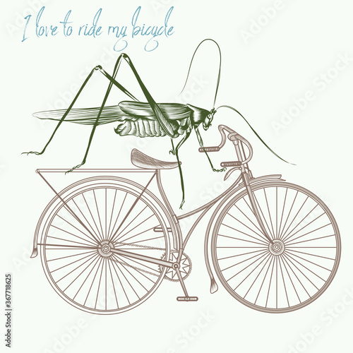 Fashion apparel print grasshopper on bicycle. I love to ride