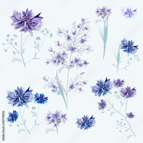 Collection of vector cornflowers in blue and purple colors