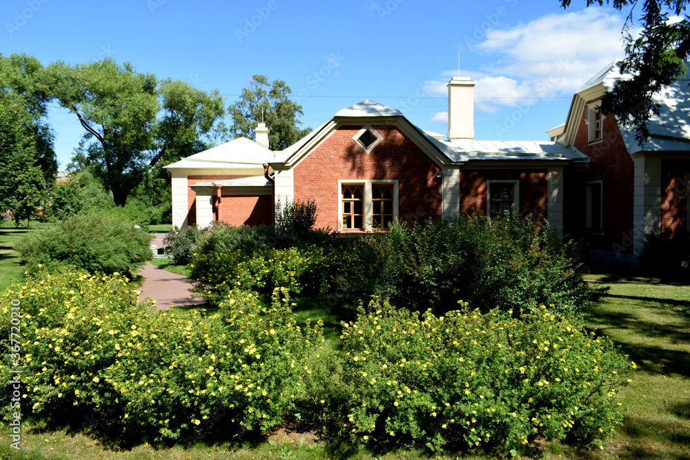 house in the woods