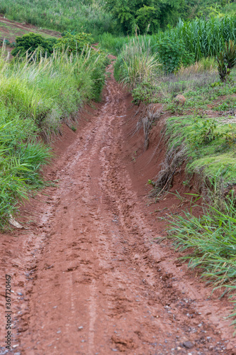 Muddy road with adventure to the forest in rainy season. Off road track. The road was filled with mud. When it rains, making dirt roads on the mountain as mud.